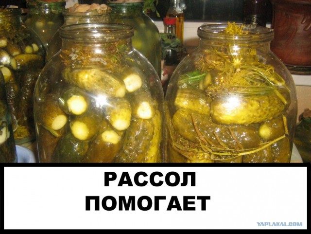 Фотожаба: Бурение убивает