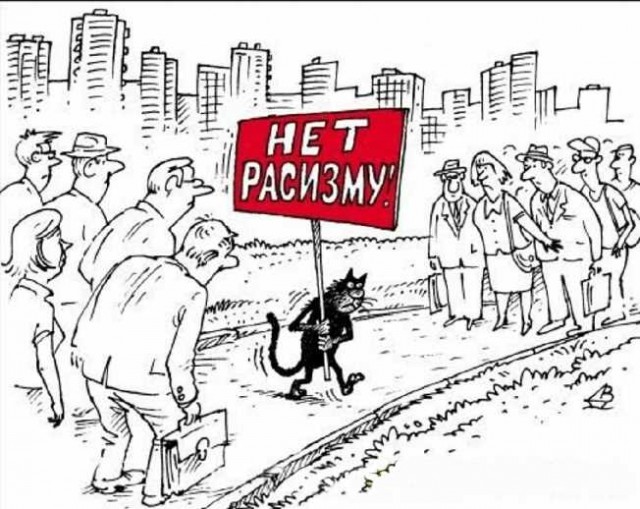 С котопятницей! Улыбнемся?