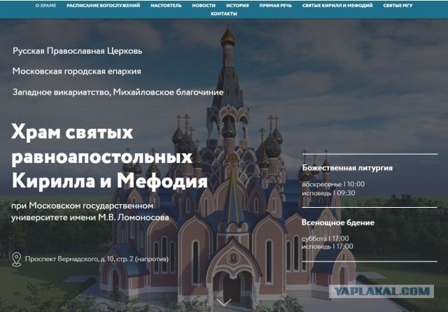 «Хрюкают, ползают и гадят»