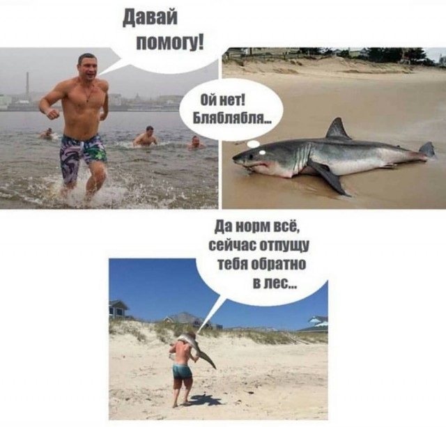 От судьбы не убежишь