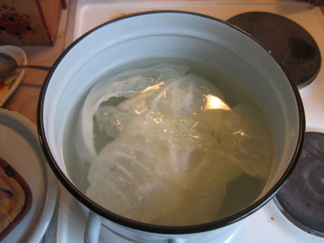 Капуста International, Наступила осень, отцвела капуста...