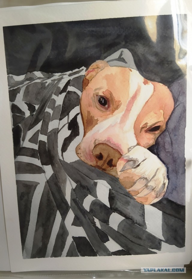 Кто что нарисовал за последние время