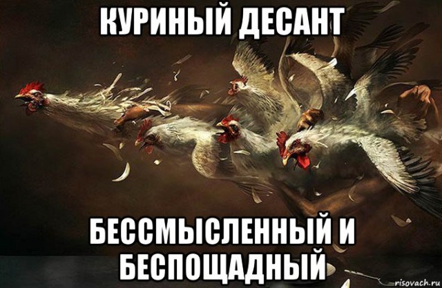 В России очень много одиноких женщин, только это не их выбор