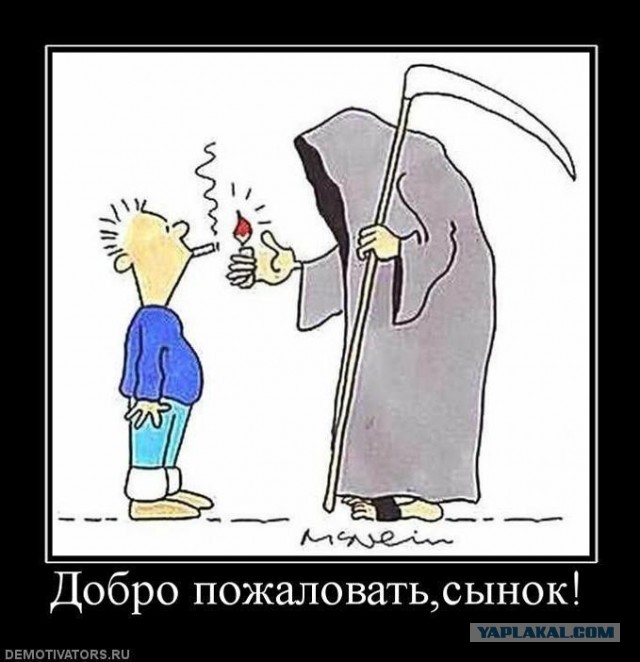 Взбодрилась