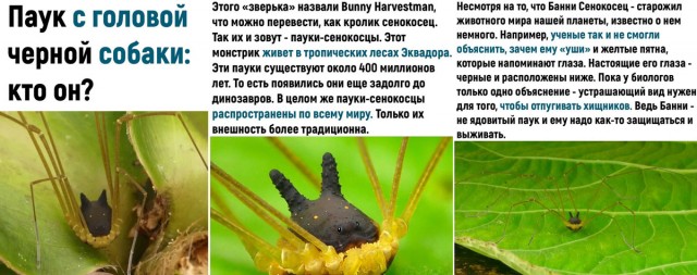 Так себе картинки 14.06.22