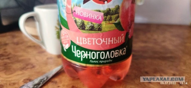 Кола от Черноголовка