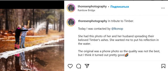 Хозяева попросили добавить на фотографию Тимбера, их недавно ушедшего пса, когда они развеивают его прах на пруду