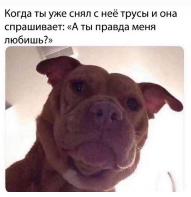 Весёлый полтишок 30.11.22