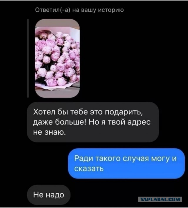 Скриншоты и комментарии из социальных сетей 02.12.22