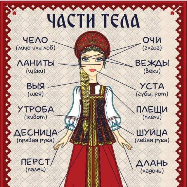 Победная поступь идиотизма по планете – том 4