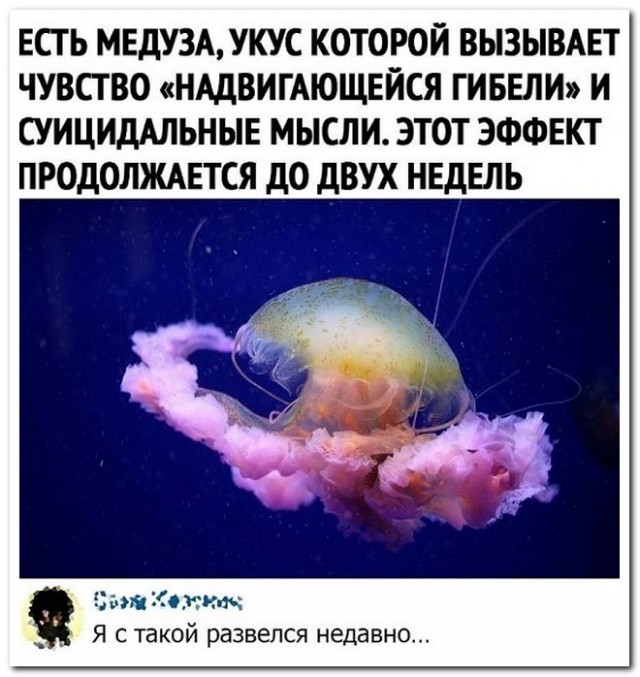 Забавные комментарии из социальных сетей (27.03.23)