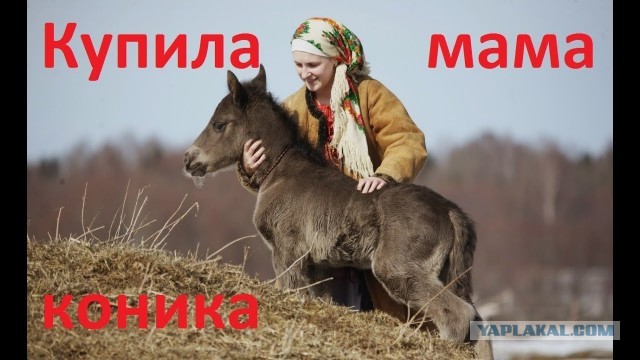 Помогите опознать зверя.