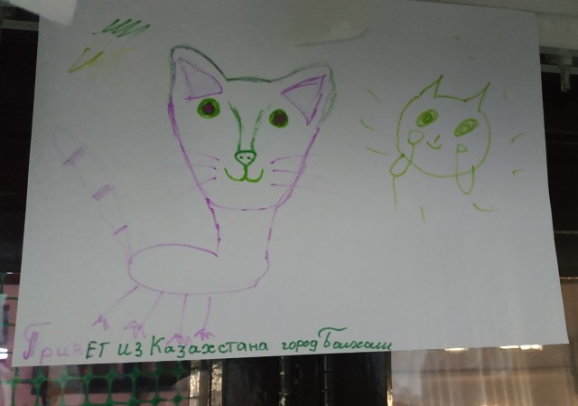 Музей Кота. Минск