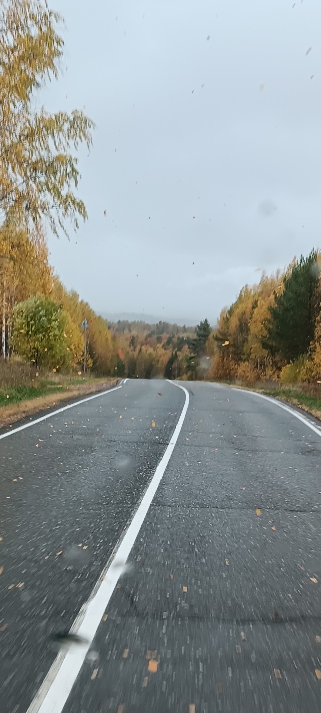 Осень в нашем СНТ