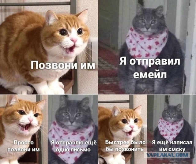 Всего понемногу. От 29.01.24