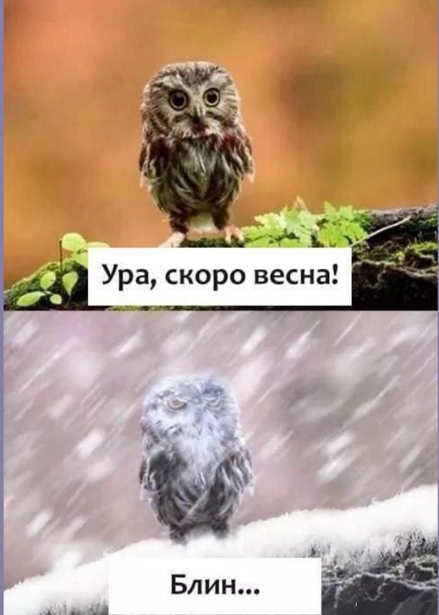 Тлидцать тли от 7 маЛта