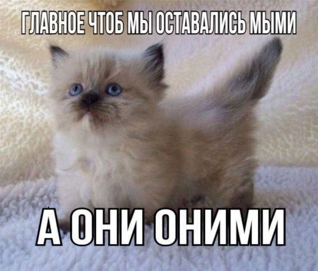 Не очень адекватный юмор
