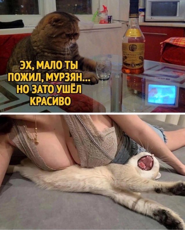 Так себе картинки 12.06.24