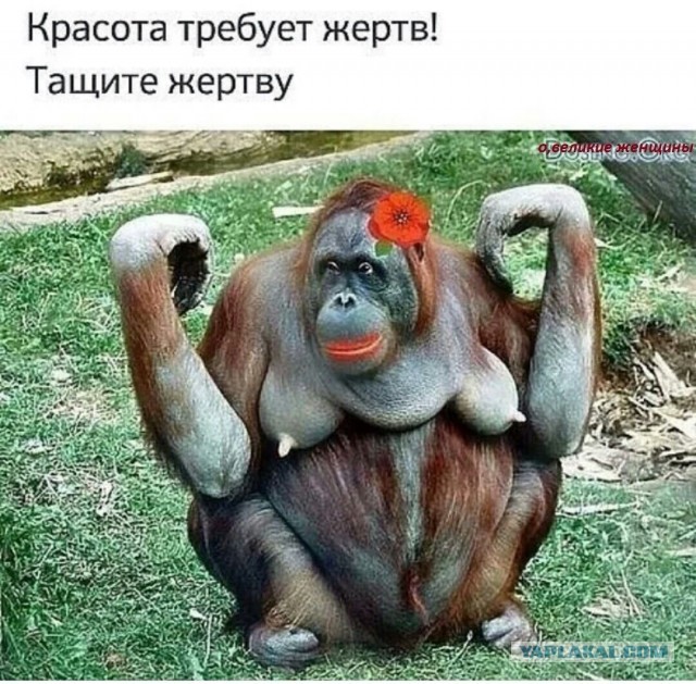 Завалялось тут случайно немного забавных картинок