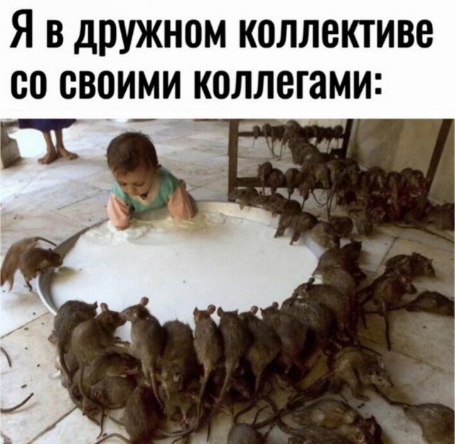 Картинки разные с надписями и без