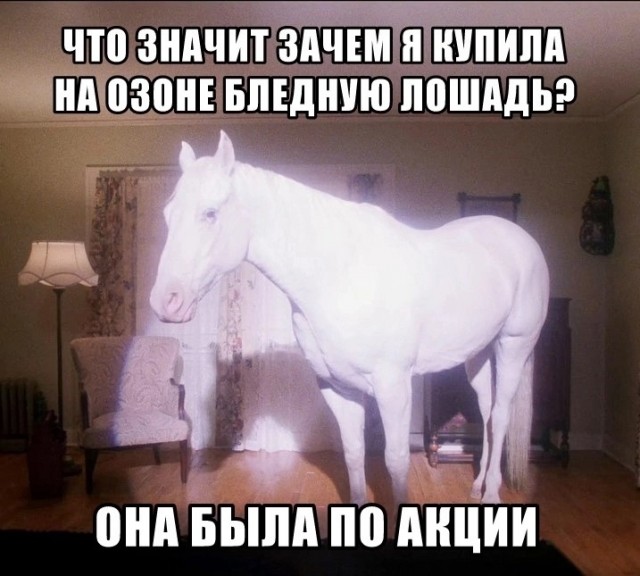 Так себе картинки 23.09.24
