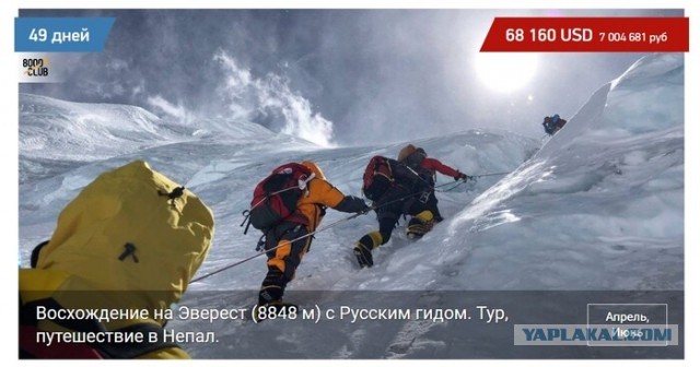 Насчет Пековой