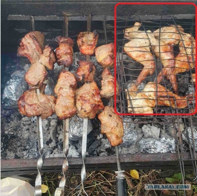 Огонь и мясо