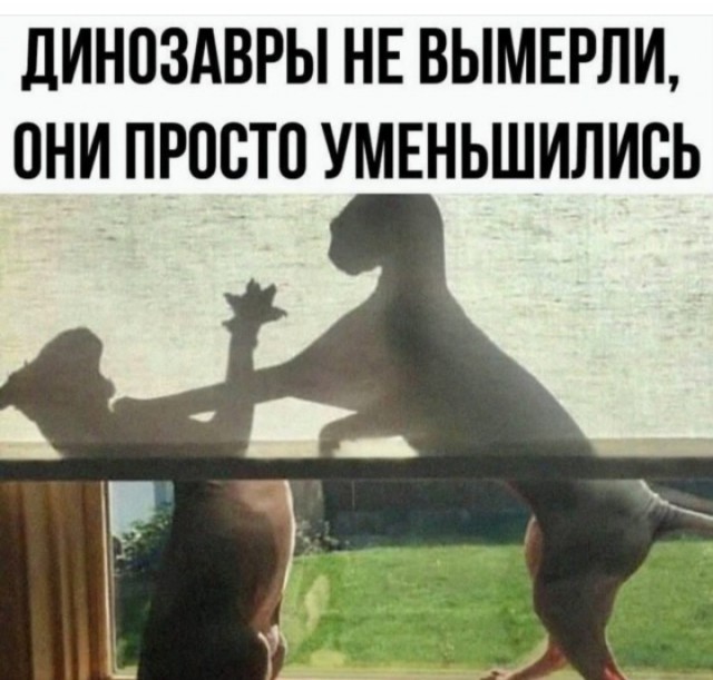 Так себе картинки 04.11.24