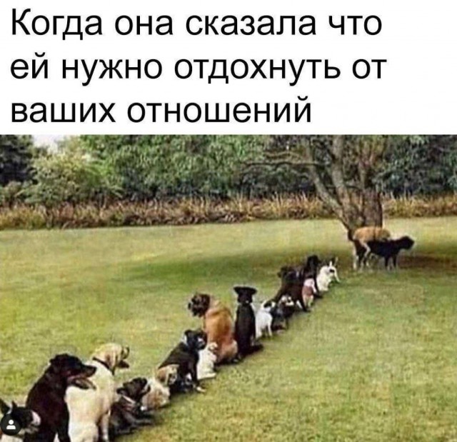 Так себе картинки 29.11.24