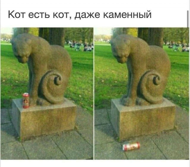 Типичный кот