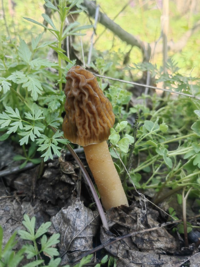 Рыбов уже нельзя ловить