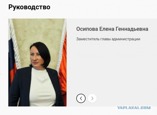 Хозяин газона в СПб!