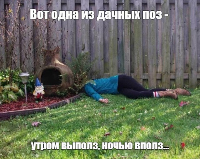 Врачи-дачологи назвали топ весенних проблем со здоровьем у дачников