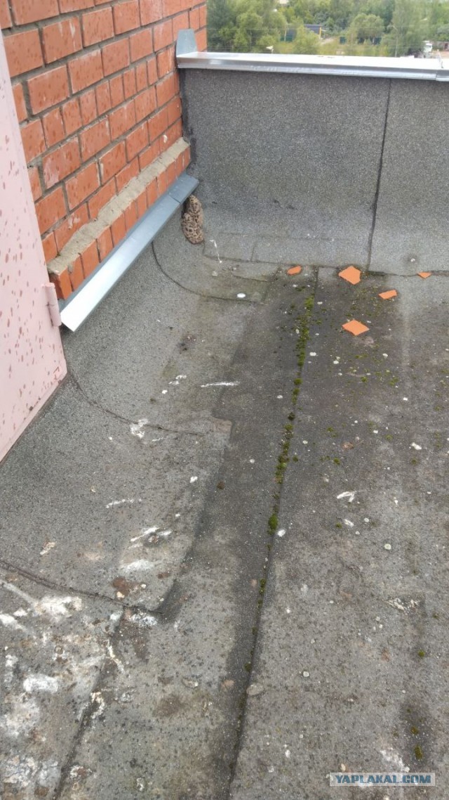 тест на внимательность