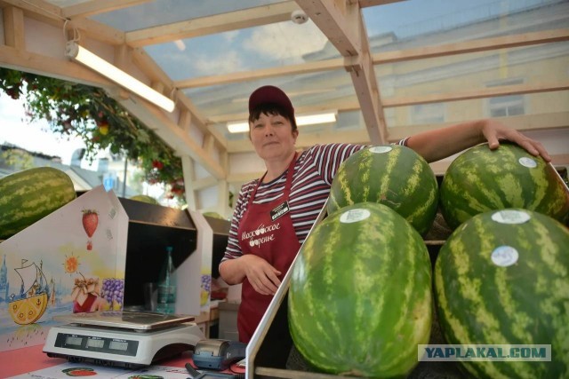 В Москве с сегодняшнего дня открылись 220 бахчевых развалов.
