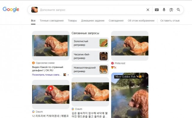 Рви меха или как перестать постить баяны на ЯП