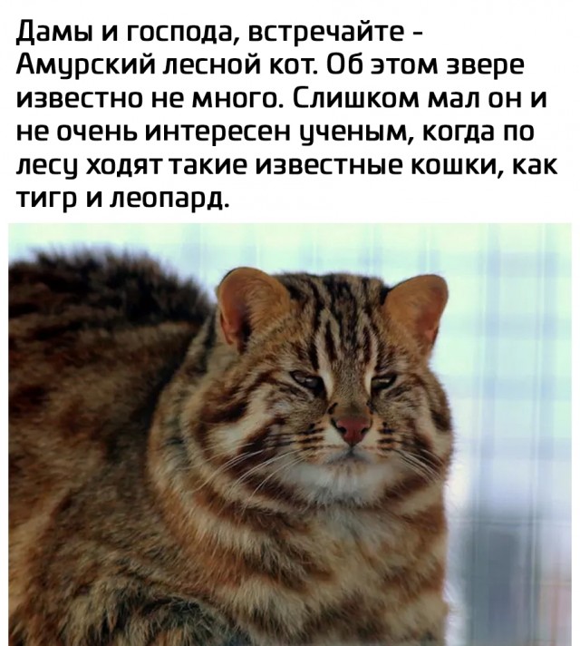 Так себе картинки 16.10.25