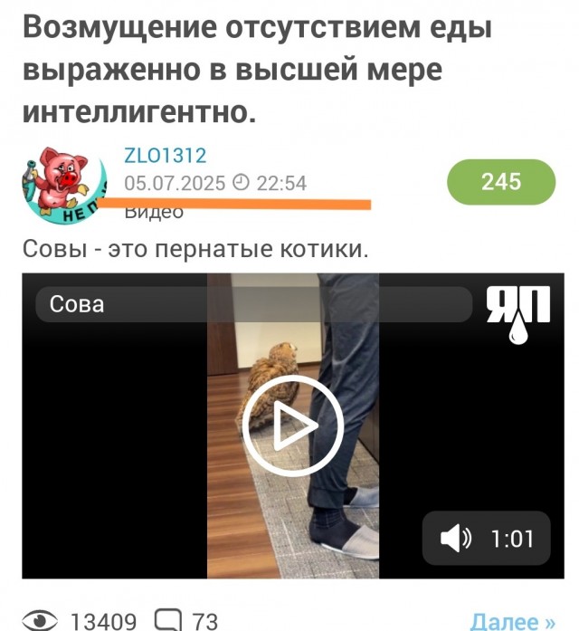 Почти кот, только не мяукает