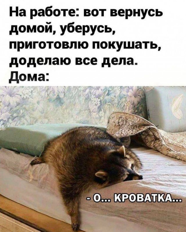 Воскресные картинки