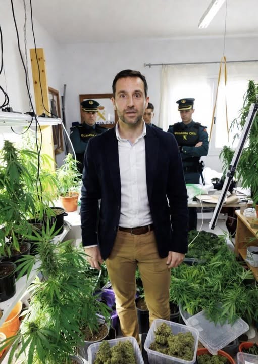 Весёлый мэр