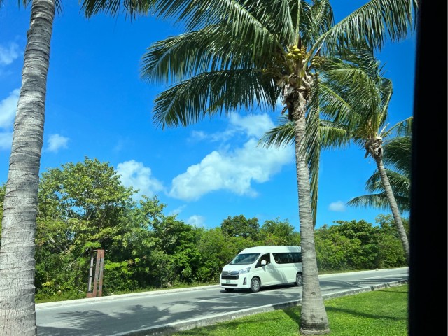 Зимняя дорога