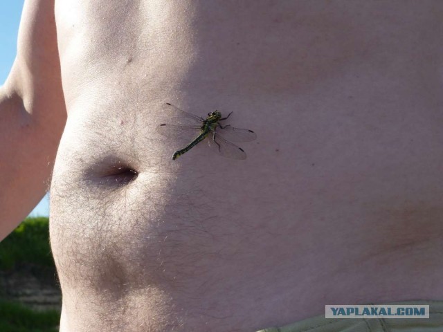 Сплав по реке Оке.