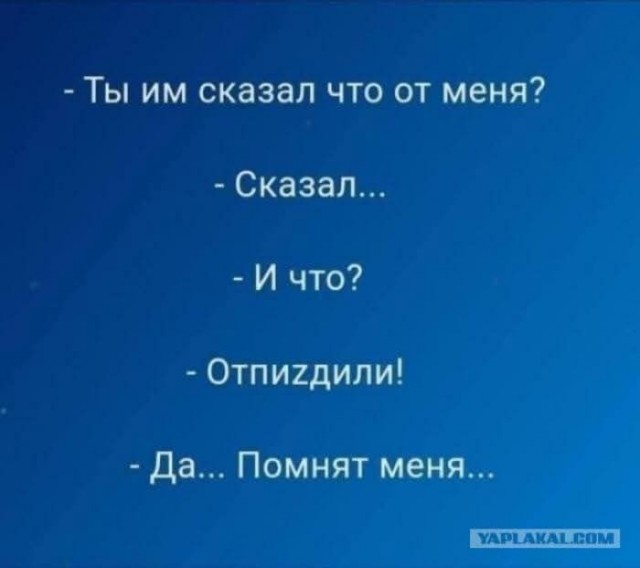 Картинки для деградации 139 (разной степени свежести)