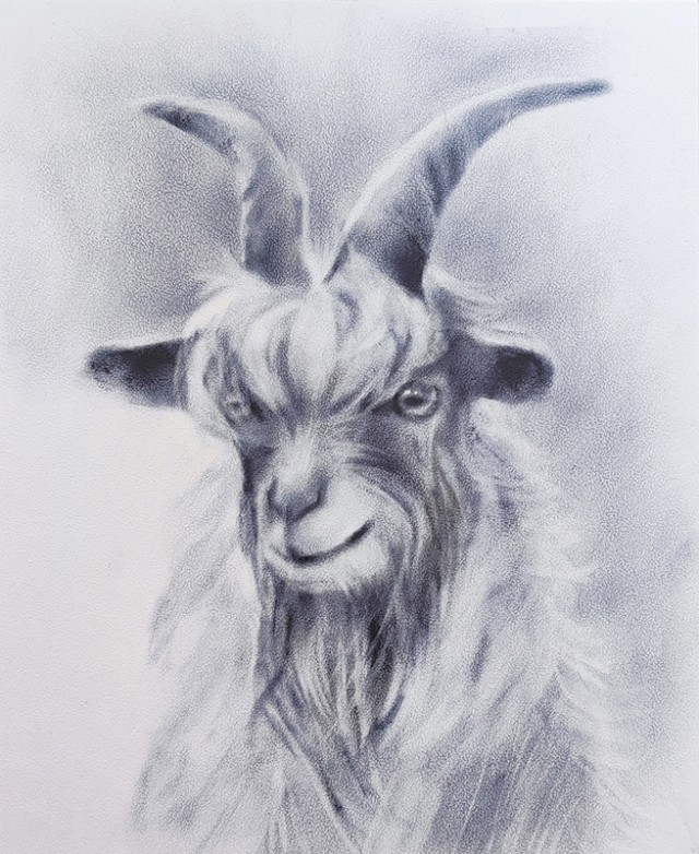 Рисунки животных