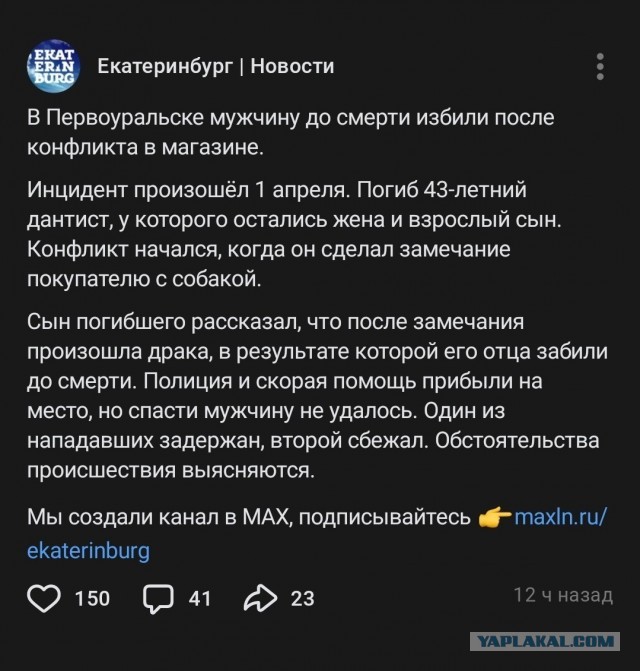 Мужчину до смерти избили после замечания хозяину собаки