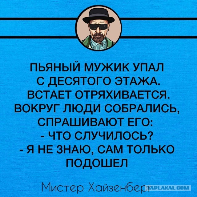 Картинки для деградации 201 (разной степени свежести)