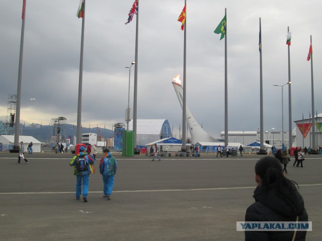 Как я ездил на кёрлинг