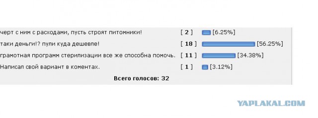 Возможно ли стерилизовать ВСЕХ бездомных собак?