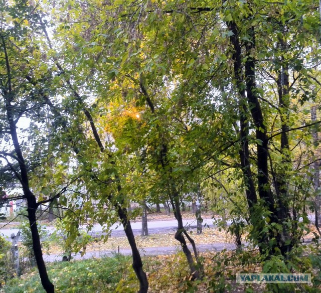 А что у Вас сейчас?