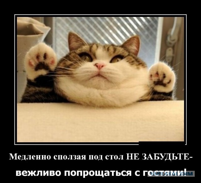 Картинки из сети